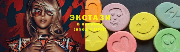 МДПВ Пересвет