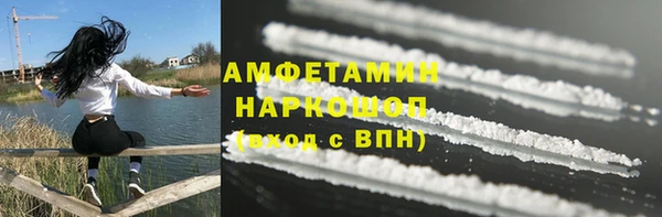 МДПВ Пересвет