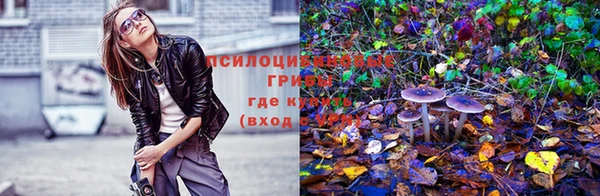 мдпв Пестово