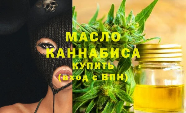 мдпв Пестово