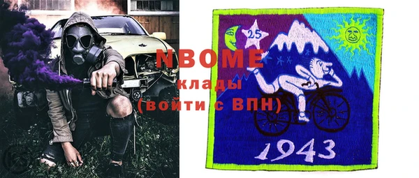 МДПВ Пересвет