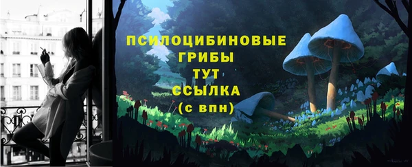 МДПВ Пересвет