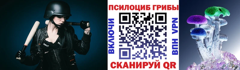 Псилоцибиновые грибы мицелий  купить наркоту  Уржум 